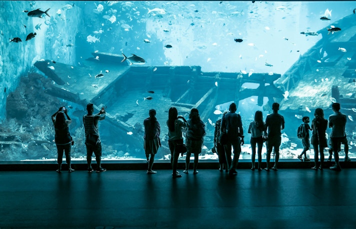 Barcelona Aquarium