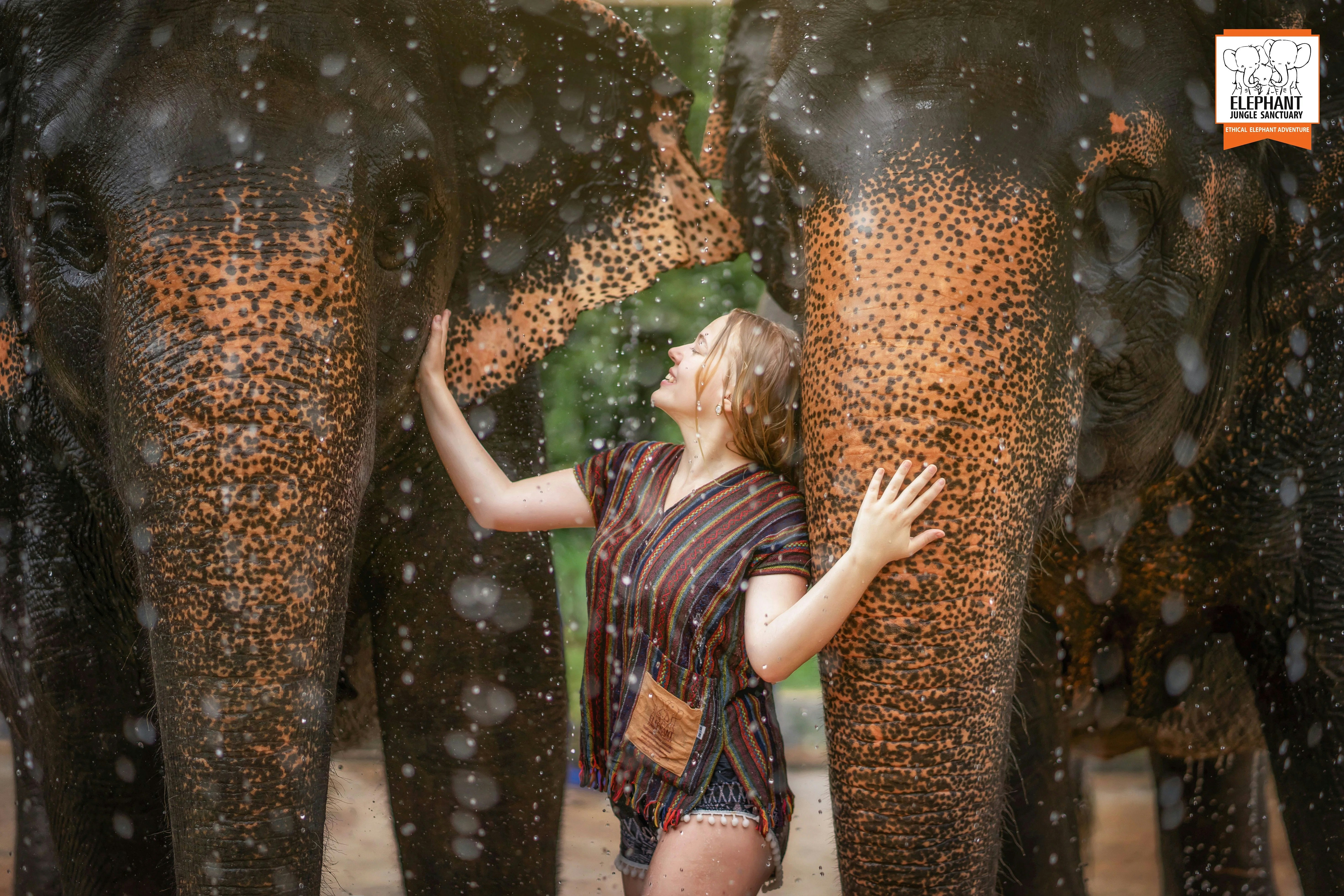 Woman interacting with elephants at Elephant Jungle Sanctuary, Phuket, Thailand.