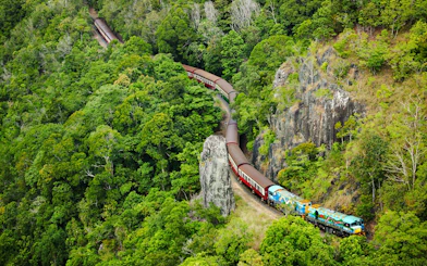 Scenic train winding through lush rainforest near Kuranda, Australia.
