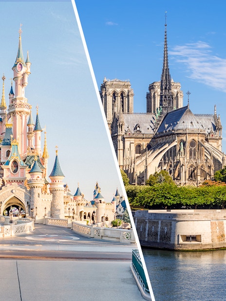 Notre Dame Cathedral and Disneyland Paris castle side by side.