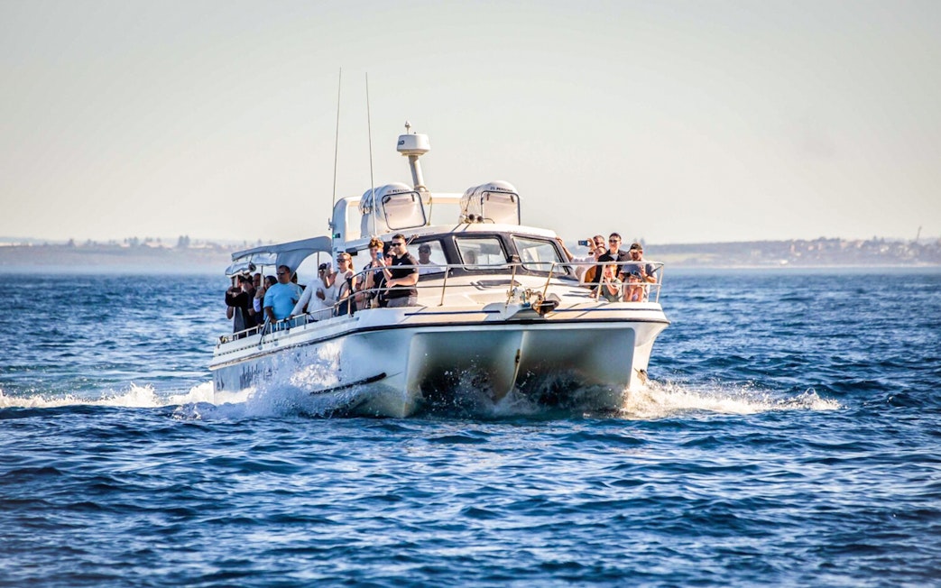 Tourists on a boat during an ocean whale watching experience.