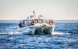 Onboard Activities
