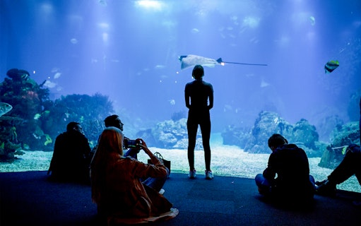 Visitors observing marine life at Lisbon Oceanarium.