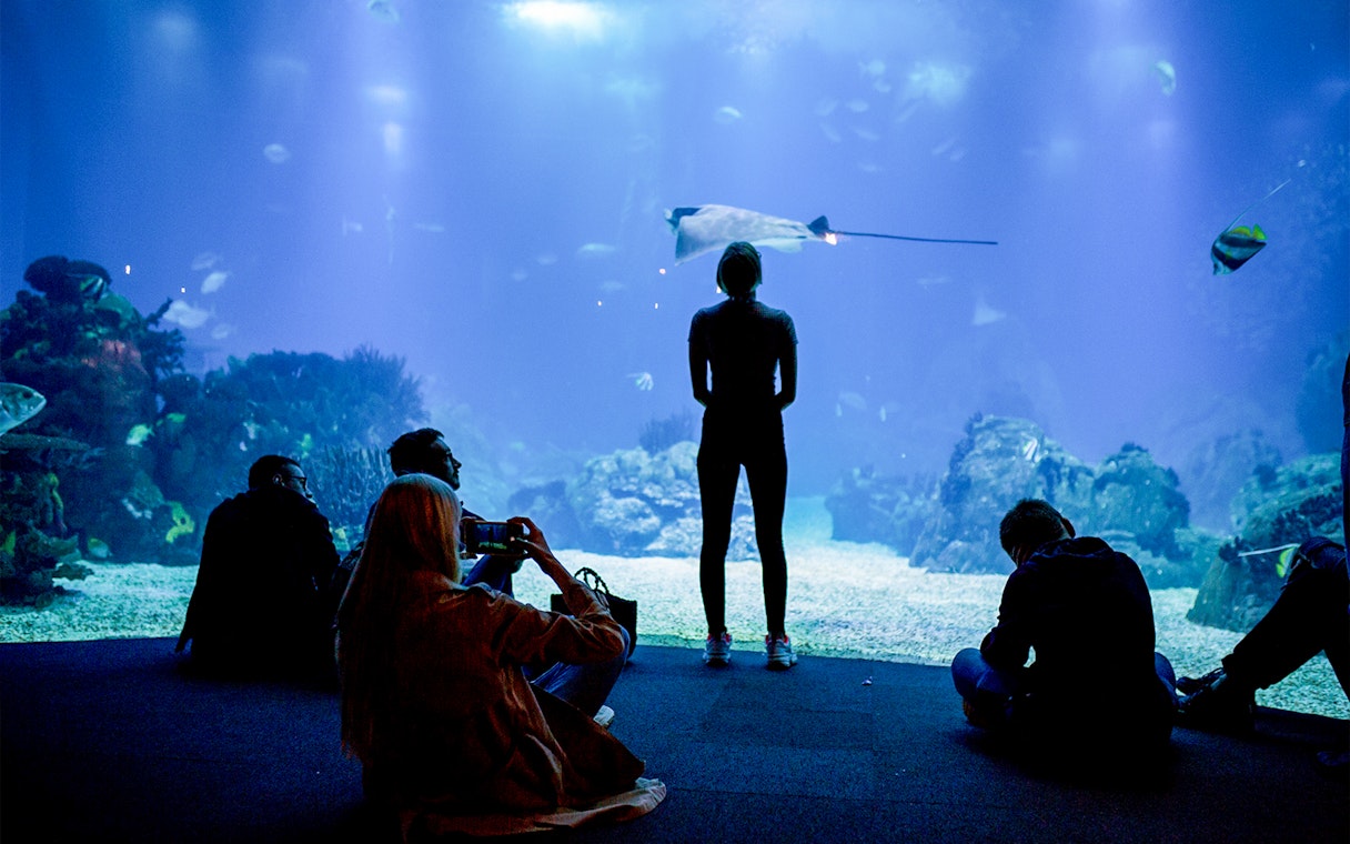 Visitors observing marine life at Lisbon Oceanarium.