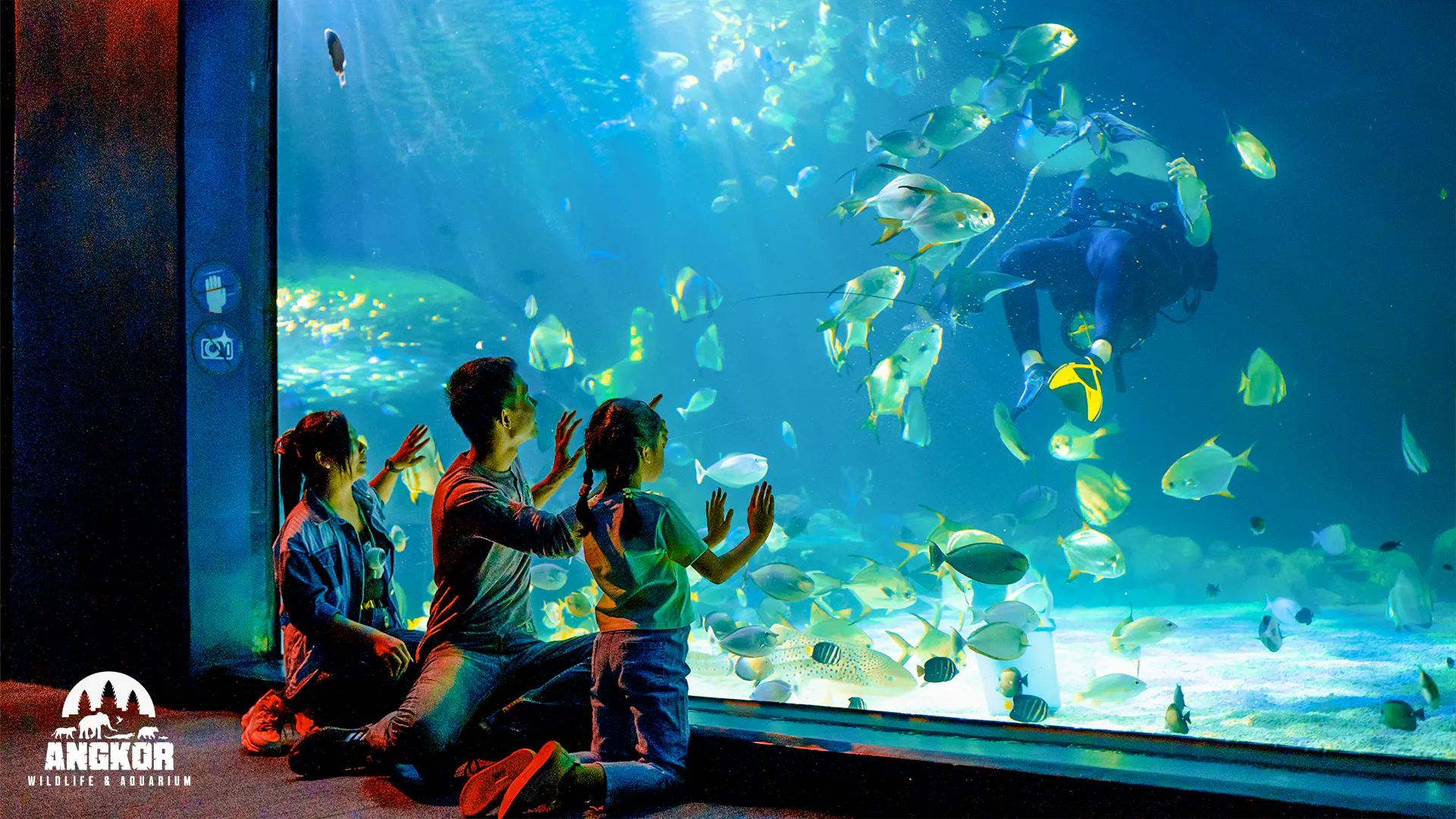 Visitors observing fish and diver in aquarium at Angkor Wildlife, Siem Reap.