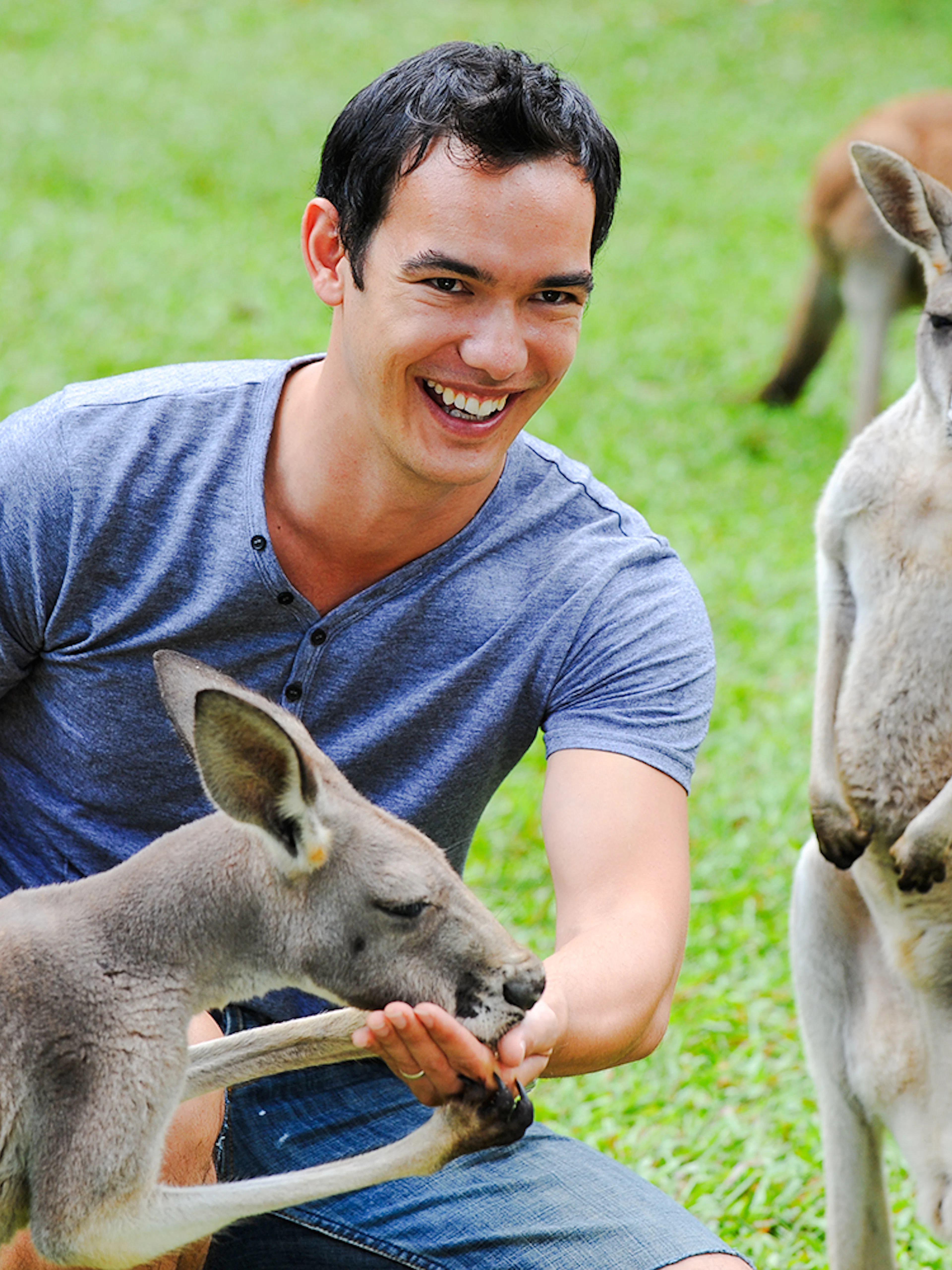 Person feeding kangaroo at Australia Zoo.