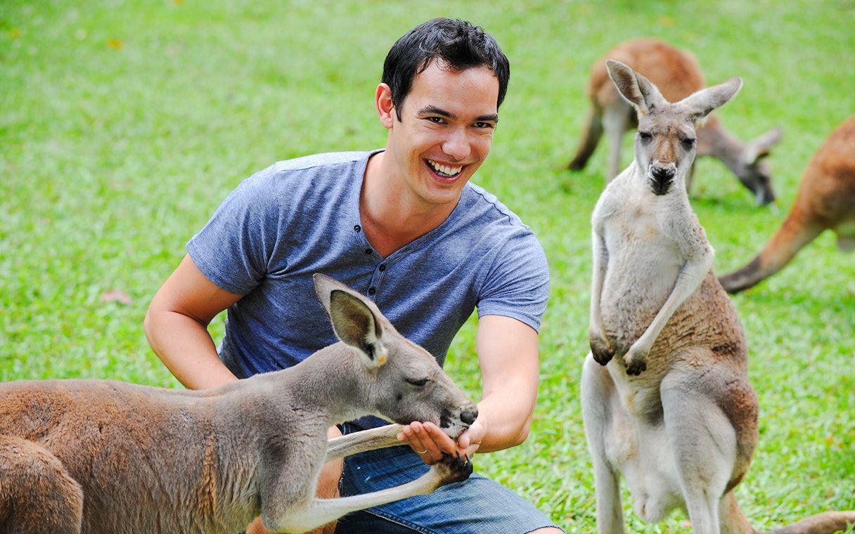 Person feeding kangaroo at Australia Zoo.