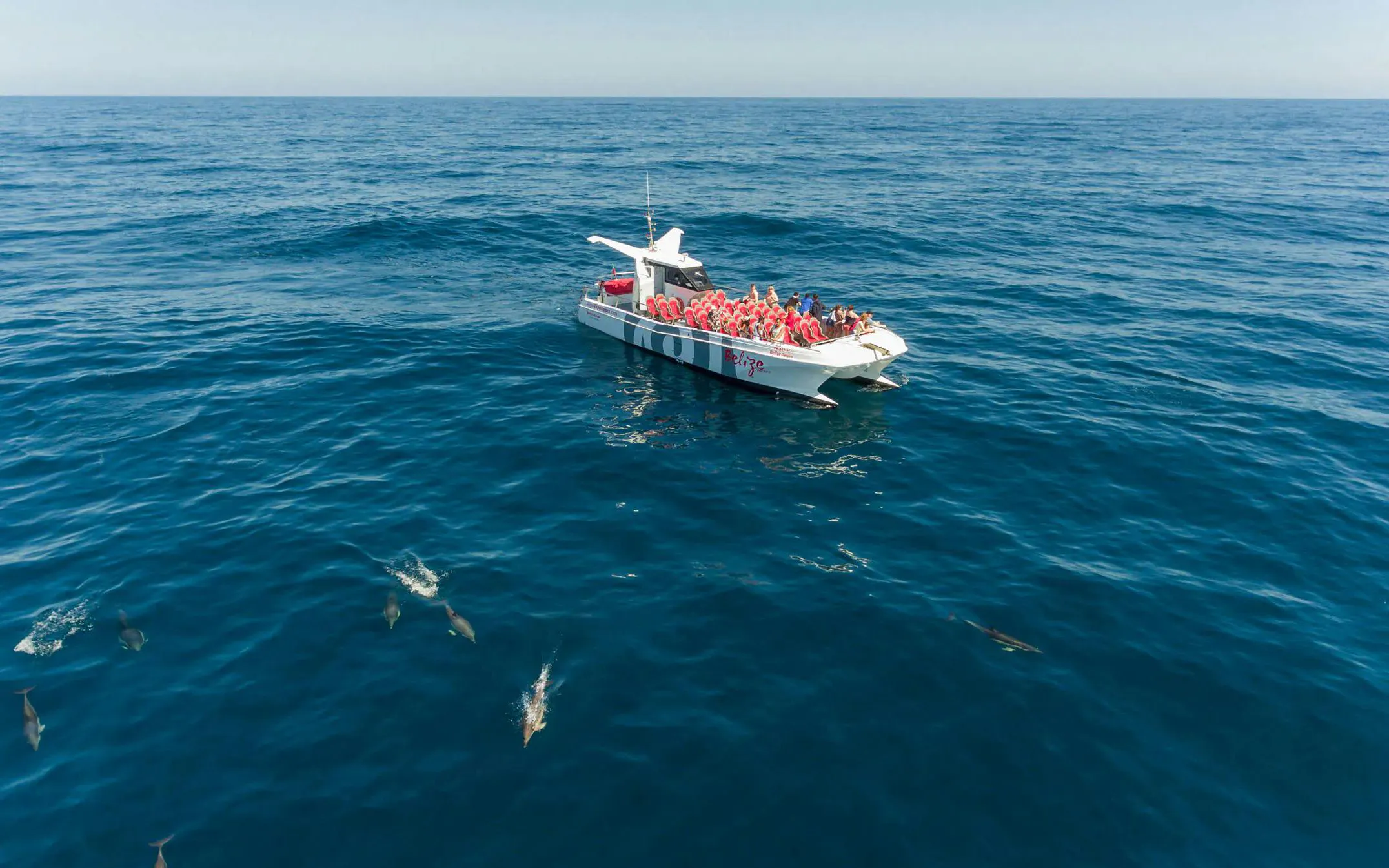 Catamaran with tourists watching dolphins near Benagil Caves, Algarve.