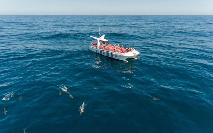 Catamaran with tourists watching dolphins near Benagil Caves, Algarve.