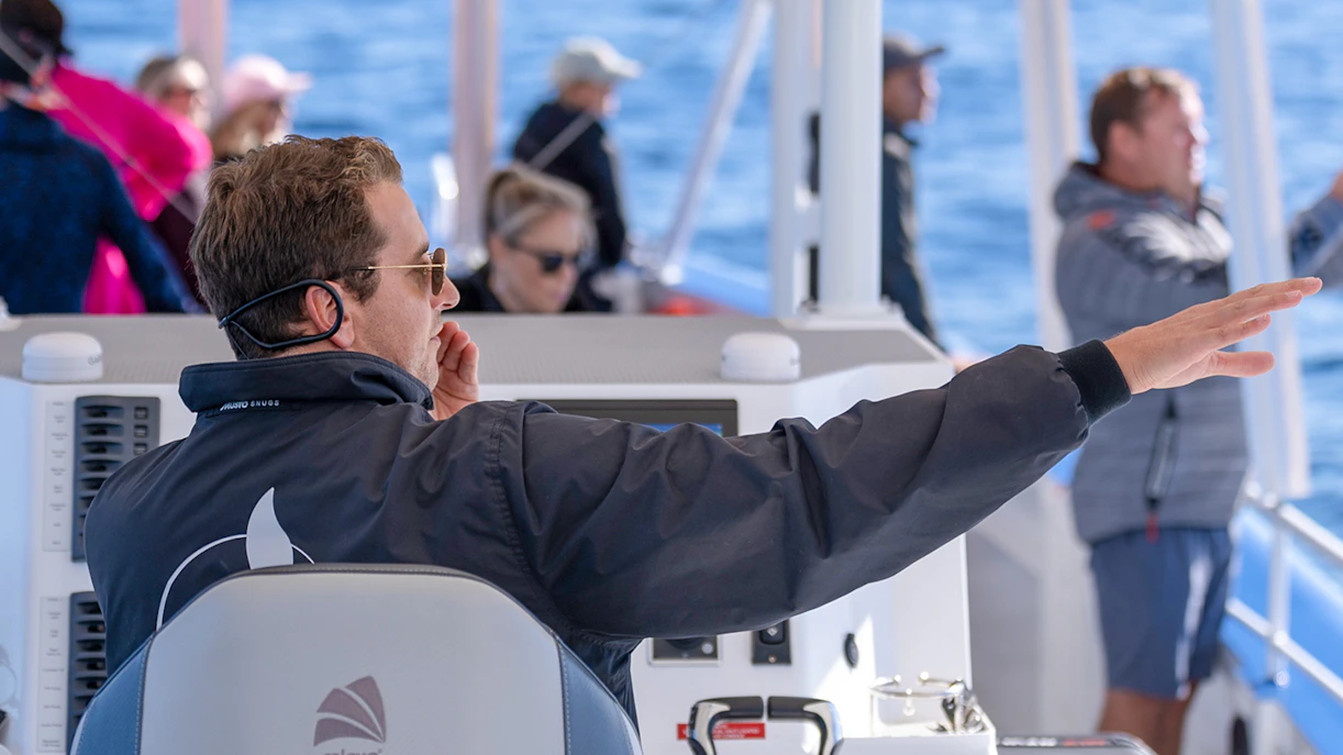 Boat captain guiding passengers on a Gold Coast whale watching tour.