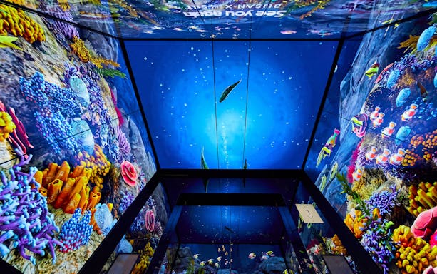 Interactive digital aquarium display at BUSAN X The SKY.