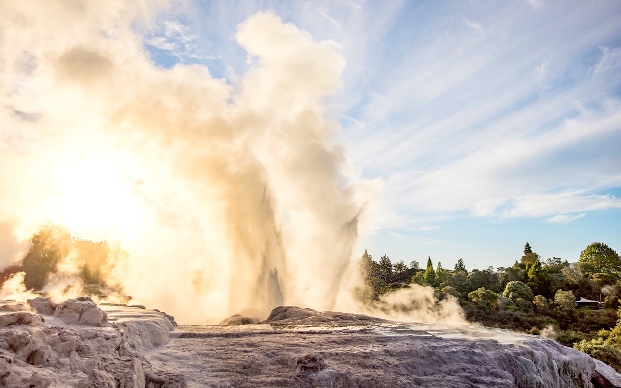 Geyser erupting at Te Puia geothermal park, Rotorua, New Zealand.