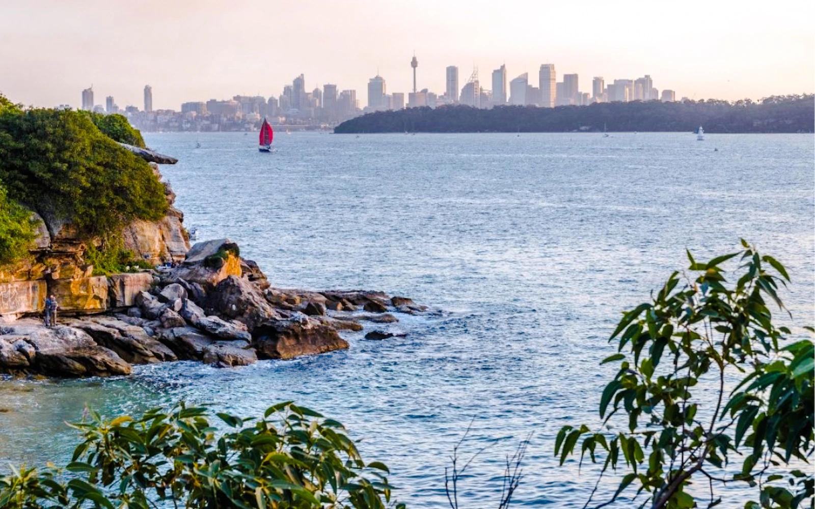 Sydney Watsons Bay Walking Tour with Ferry Tickets and Fish and Chips Lunch