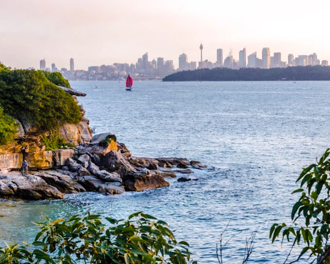 Sydney Watsons Bay Walking Tour with Ferry Tickets and Fish and Chips Lunch