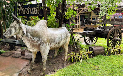Ox statue and wooden cart at a traditional Thai village on Mae Ping River cruise.
