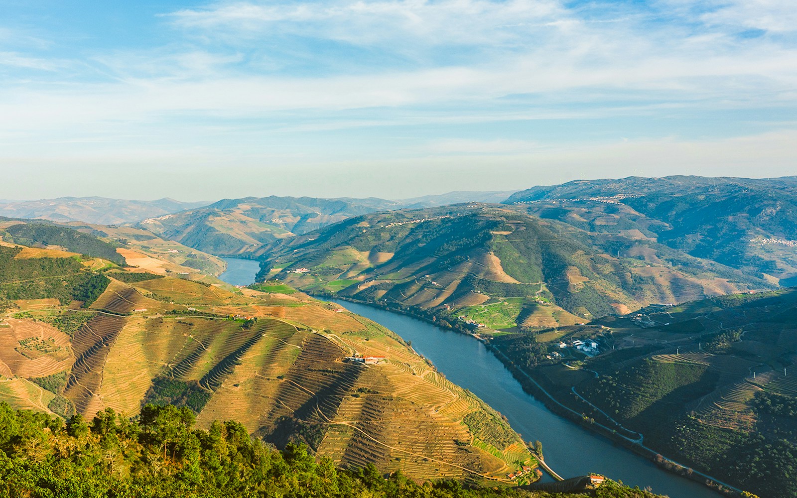 Douro Valley vineyards and river view from São Leonardo da Galafura viewpoint, Portugal.