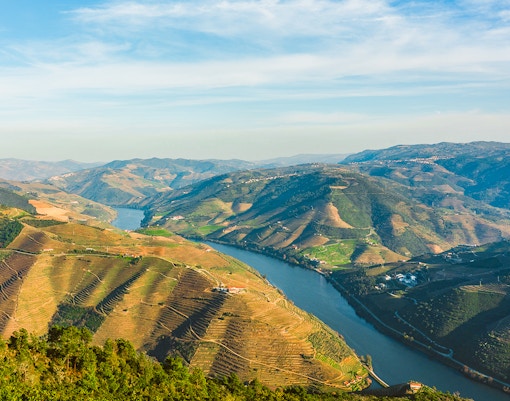Douro Valley vineyards and river view from São Leonardo da Galafura viewpoint, Portugal.