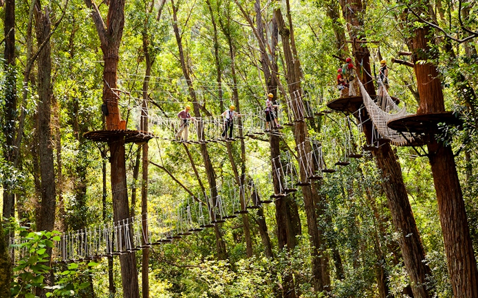 Guests crossing a rope bridge in a forest on the Kohala Zip & Dip tour.