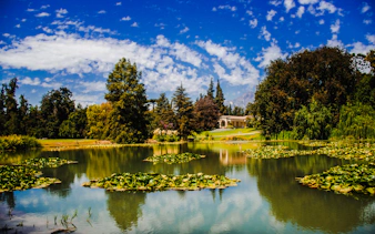 Concha y Toro Winery gardens with pond and trees, Santiago, Chile.