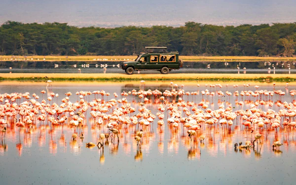 From Nairobi: 2-Day Amboseli Express Safari