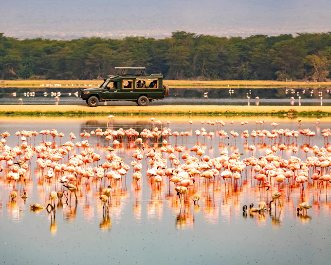 From Nairobi: 2-Day Amboseli Express Safari