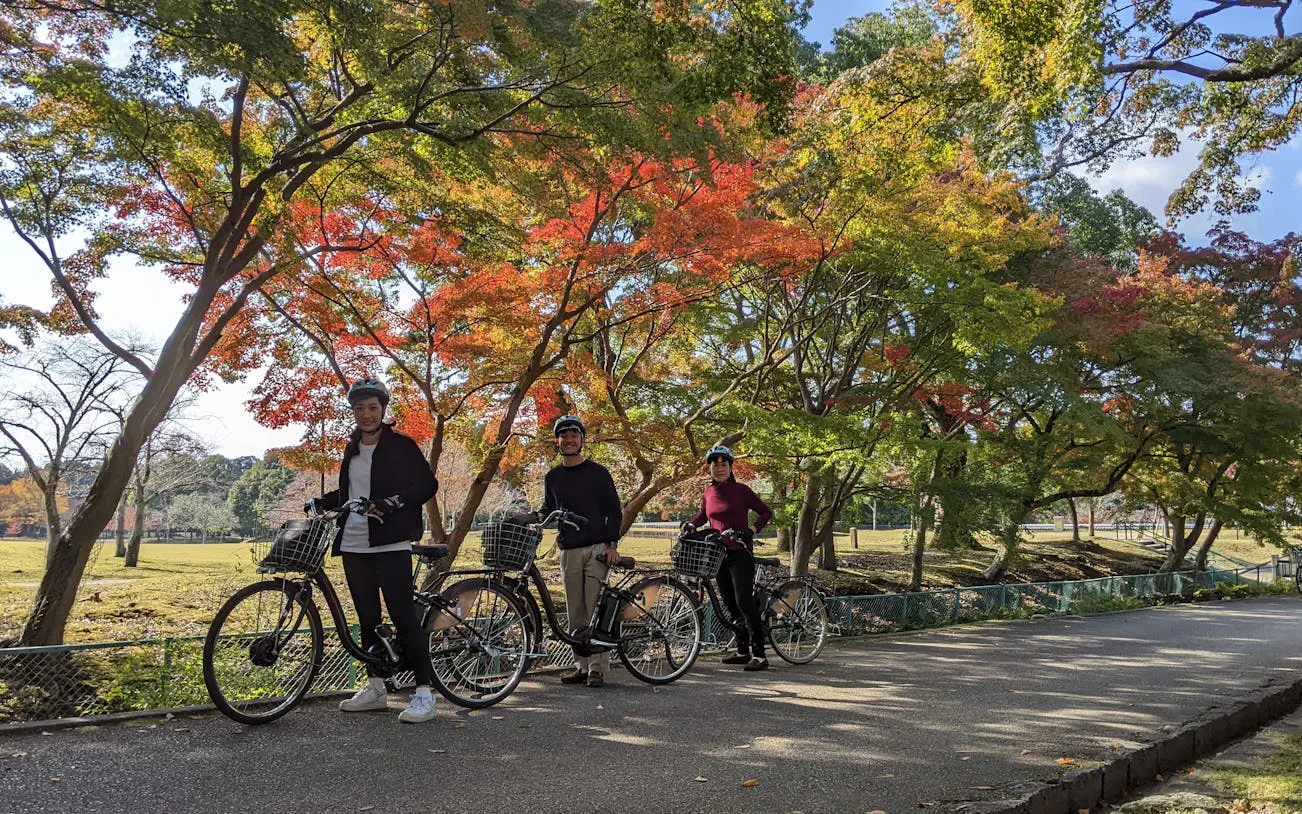nara private family e-bike tour with lunch and child seats included-8