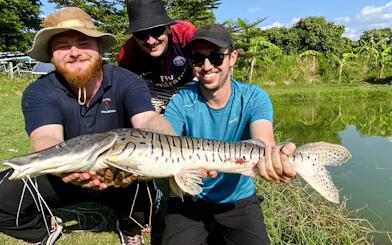 Chiang Mai Big-Game Fishing Experience with Transfers