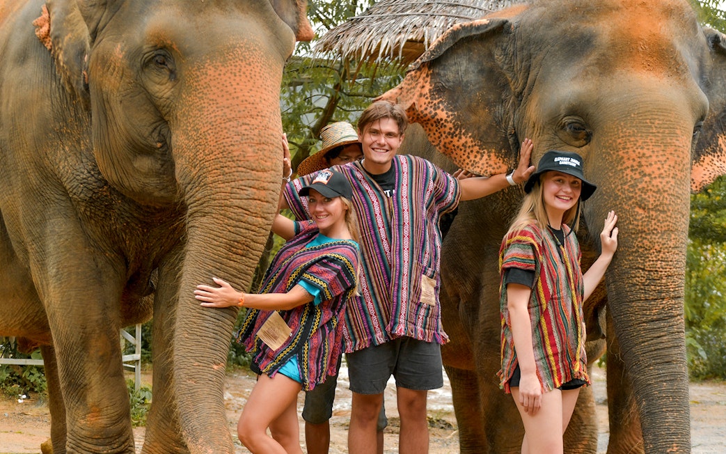 Tourists interacting with elephants at Elephant Jungle Sanctuary in Phuket.