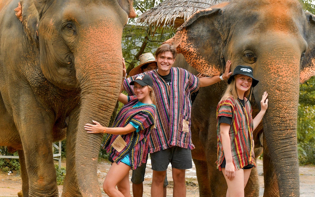 Tourists interacting with elephants at Elephant Jungle Sanctuary in Phuket.