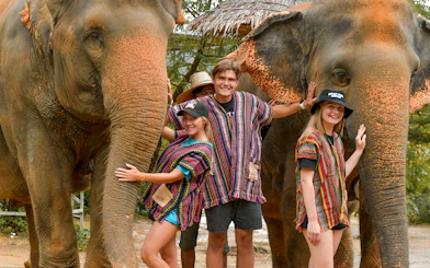 Tourists interacting with elephants at Elephant Jungle Sanctuary in Phuket.