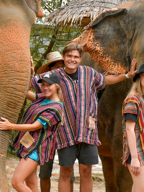 Tourists interacting with elephants at Elephant Jungle Sanctuary in Phuket.