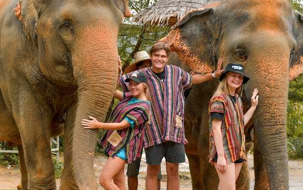Tourists interacting with elephants at Elephant Jungle Sanctuary in Phuket.