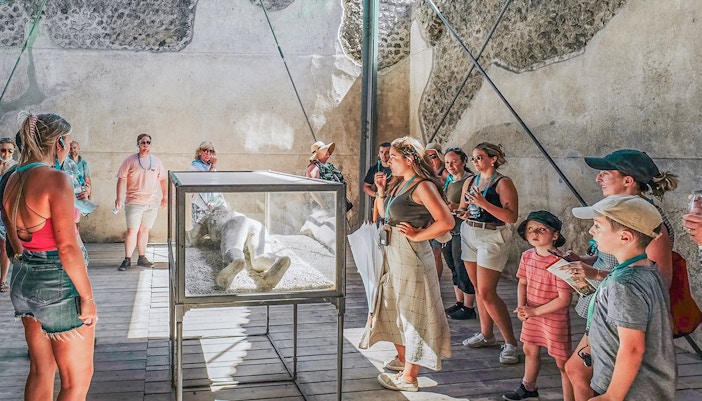 Naples to Pompeii day trip