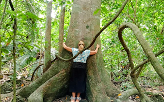 Person embracing large tree in Kaya Kinondo Forest, Diani Beach.