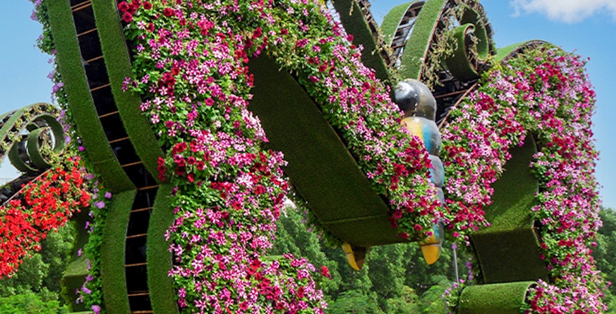 Biglietti Dubai Butterfly Garden