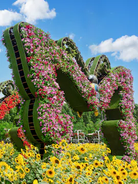 Dubai Butterfly Garden Tickets