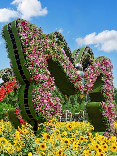 Dubai Butterfly Garden