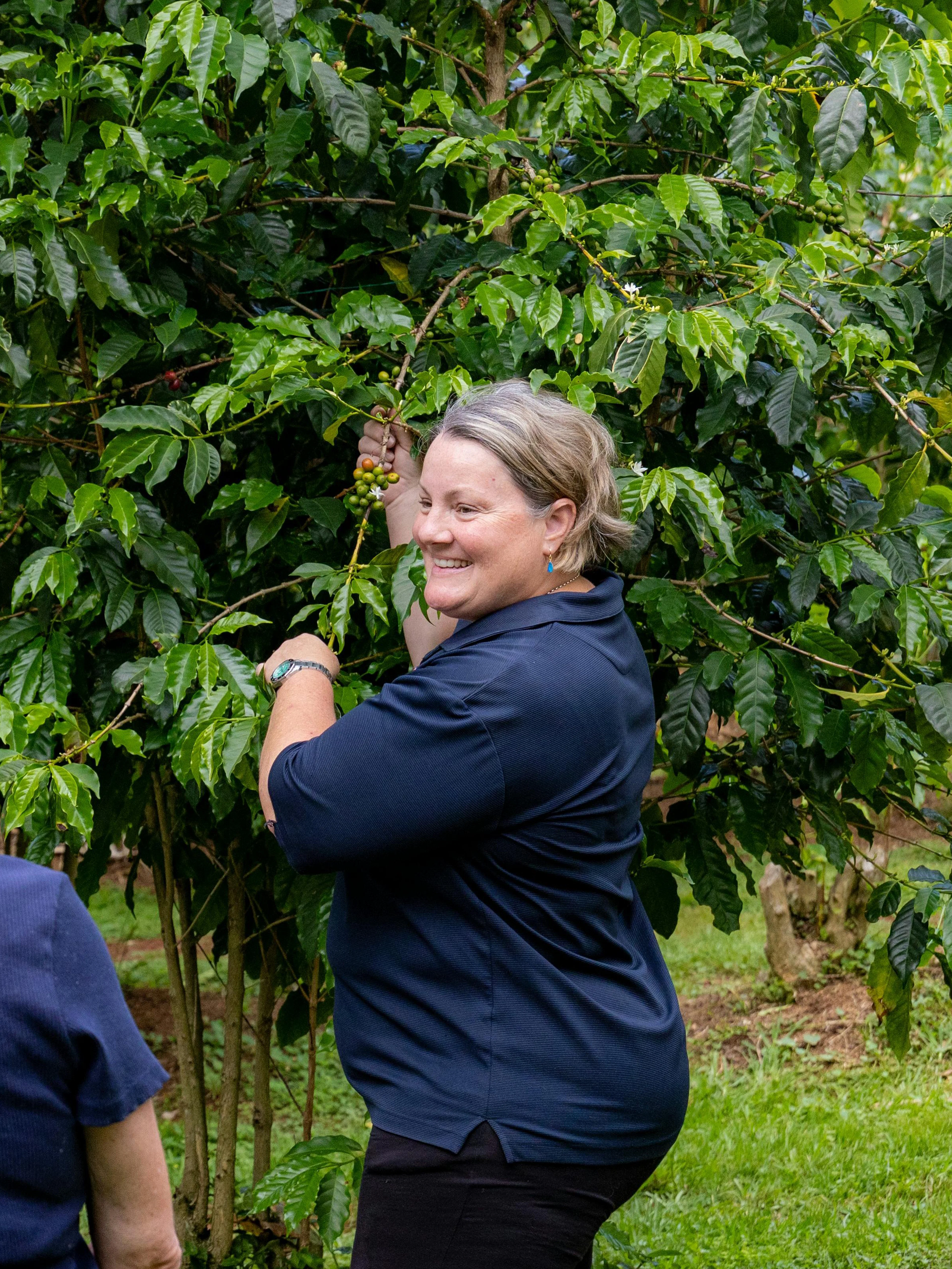 Tour group learning about coffee plants on Tamborine Mountain.
