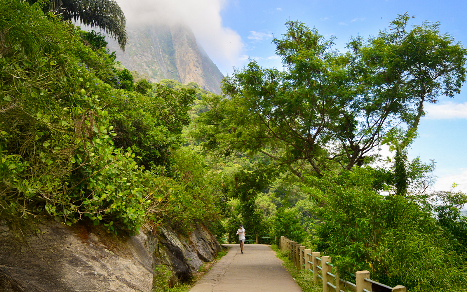 Hiker on Morro Da Urca Trail surrounded by lush greenery, Rio de Janeiro.