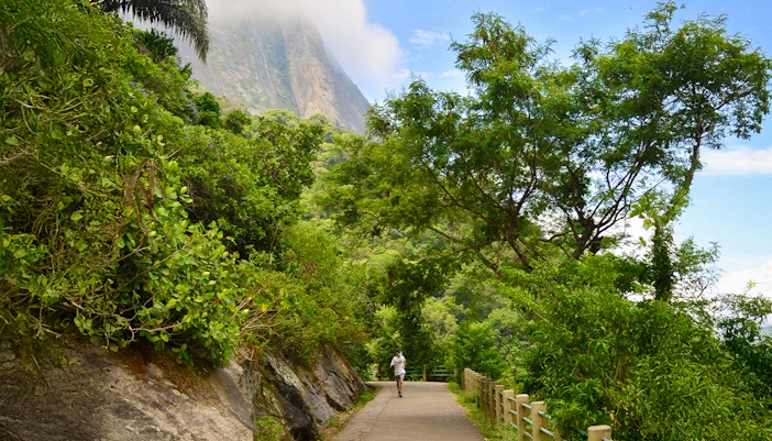 Hiker on Morro Da Urca Trail surrounded by lush greenery, Rio de Janeiro.