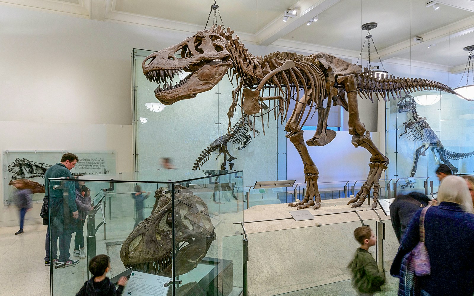 Visitors exploring T-rex exhibits at the American Museum of Natural History