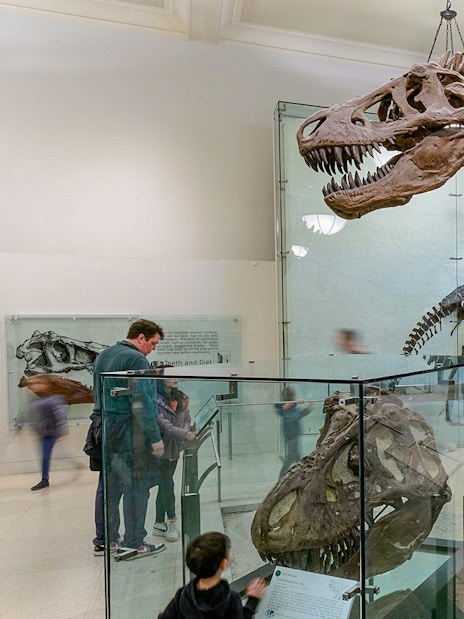 Visitors viewing dinosaur skeletons at the American Museum of Natural History on Combo Save 24% tour.