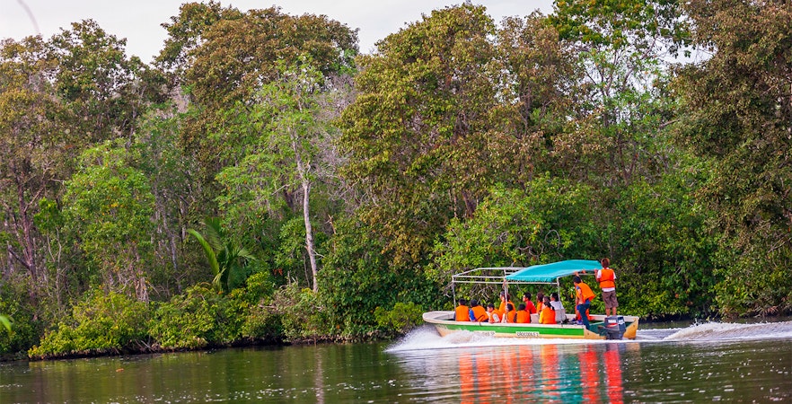 Parque del Humedal de Weston