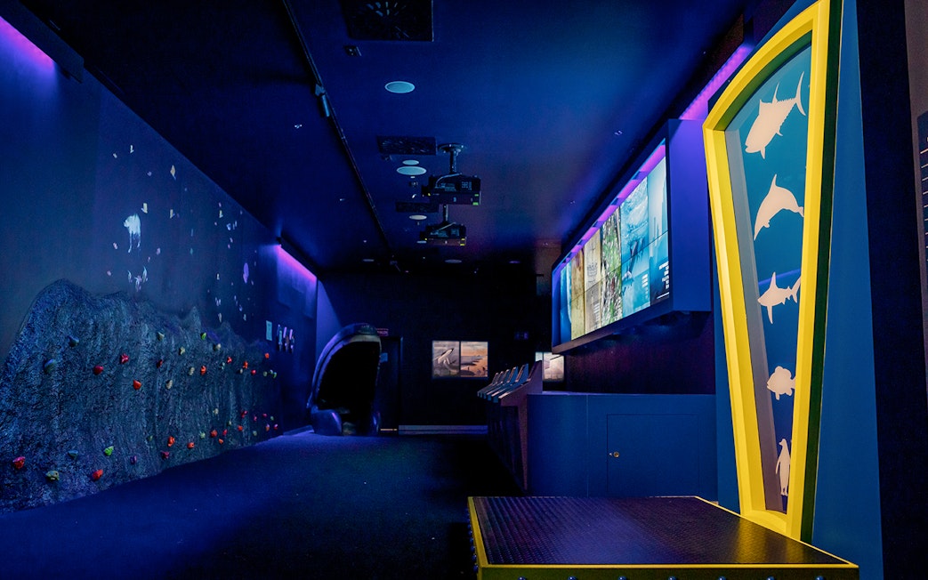 Interactive displays and climbing wall in Atlantis Aquarium activity room.