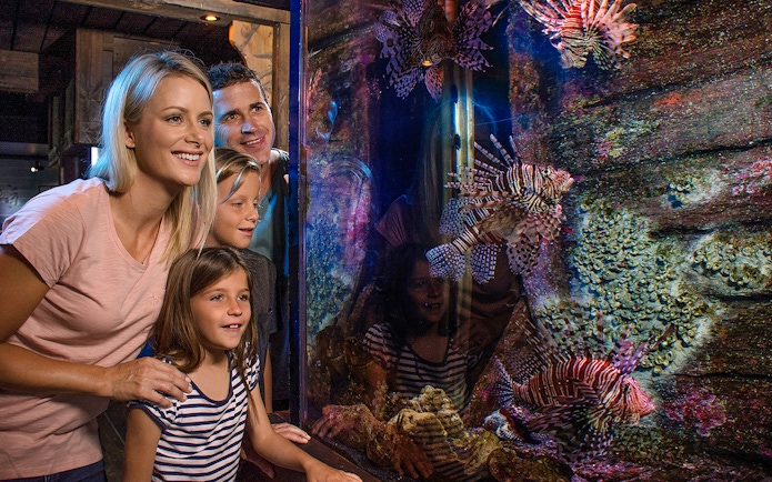 Family observing lionfish at SEA LIFE Sunshine Coast aquarium.