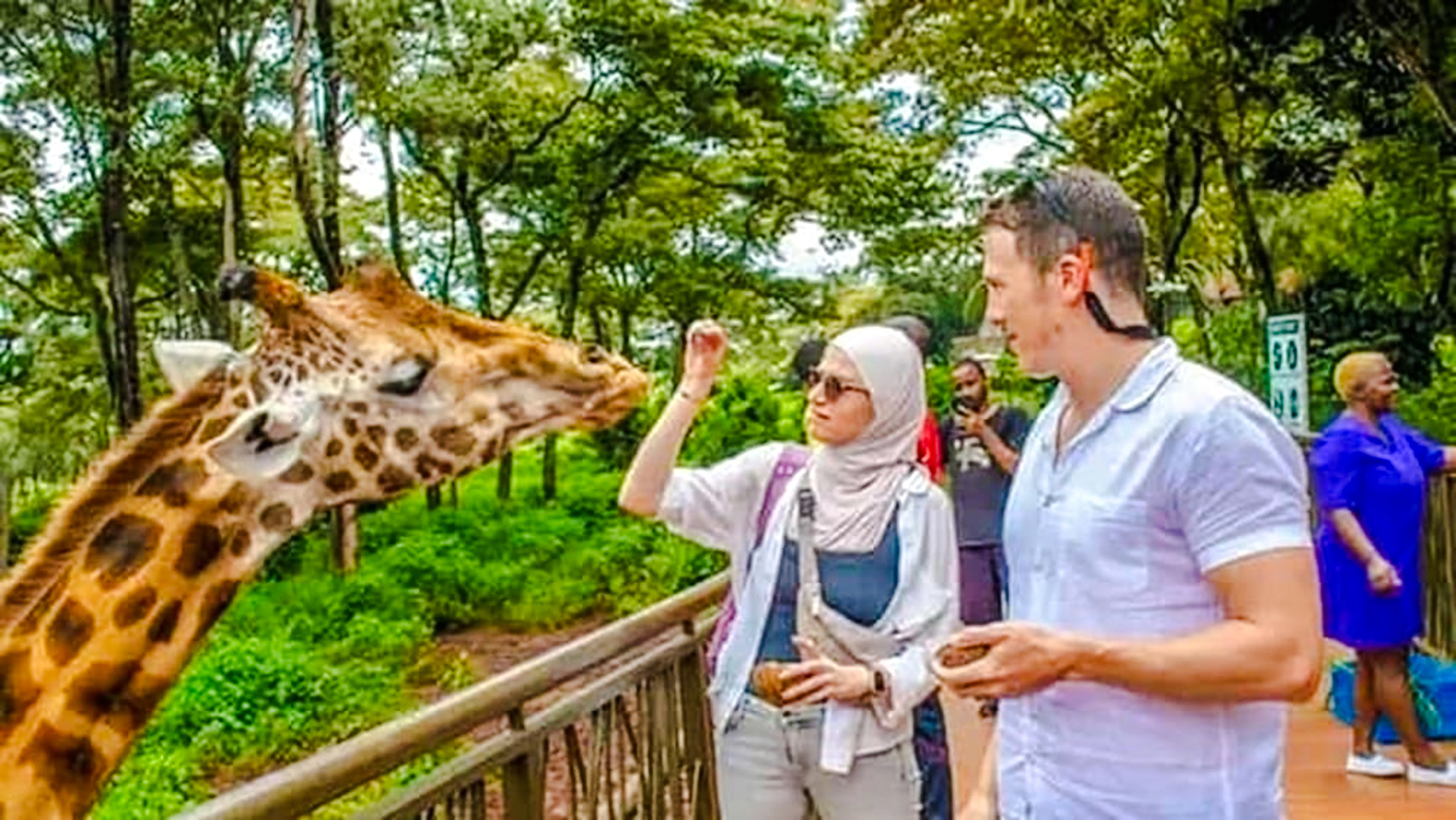 Visitors feeding a giraffe at the Giraffe Center in Nairobi, surrounded by lush greenery.