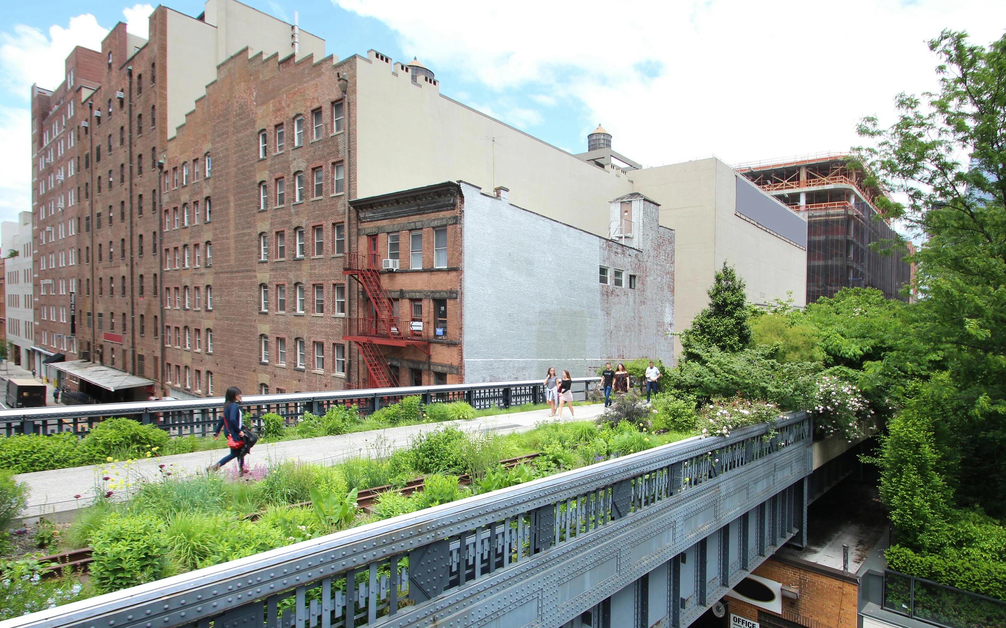 High Line walkway with people walking, surrounded by greenery and city buildings in Chelsea, New York City.