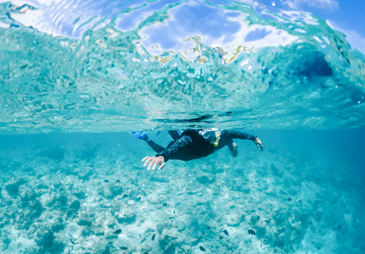 Snorkeler exploring coral reef in Ang Thong Marine Park, Koh Samui.