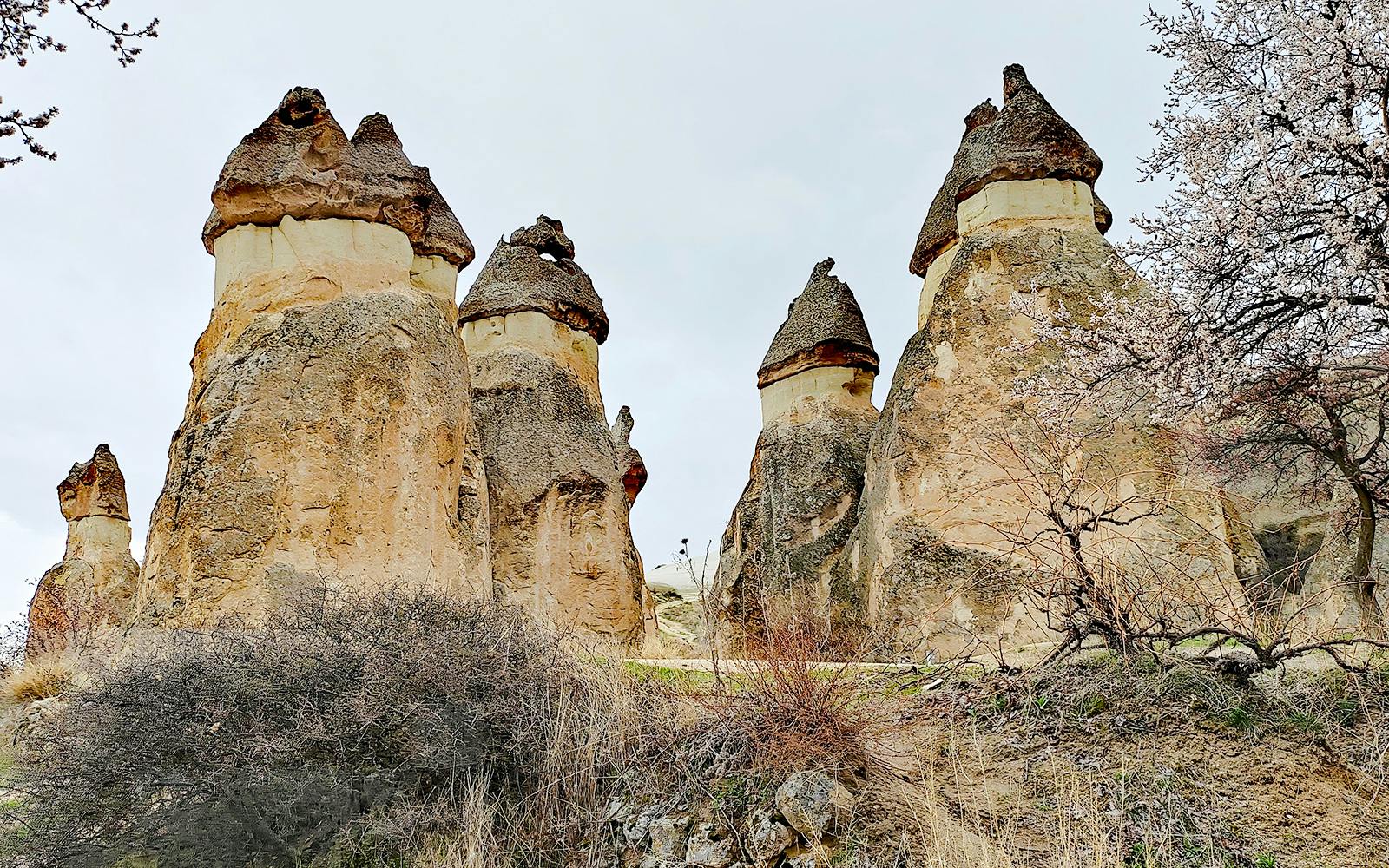 Fairy Chimneys in Paşabağ, Cappadocia, Turkey with unique rock formations.