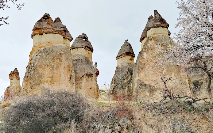Fairy Chimneys in Paşabağ, Cappadocia, Turkey with unique rock formations.